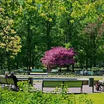 Koidulapark