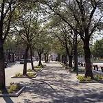 Hotel Koidulapark