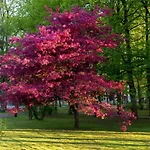 Koidulapark 2*