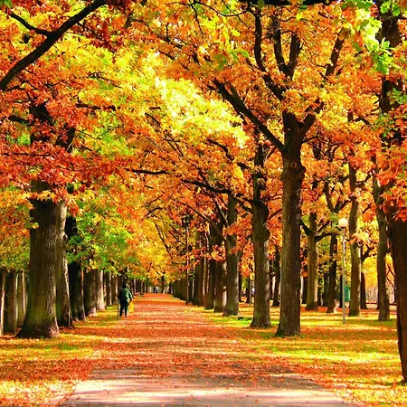 فندق Koidulapark 2*