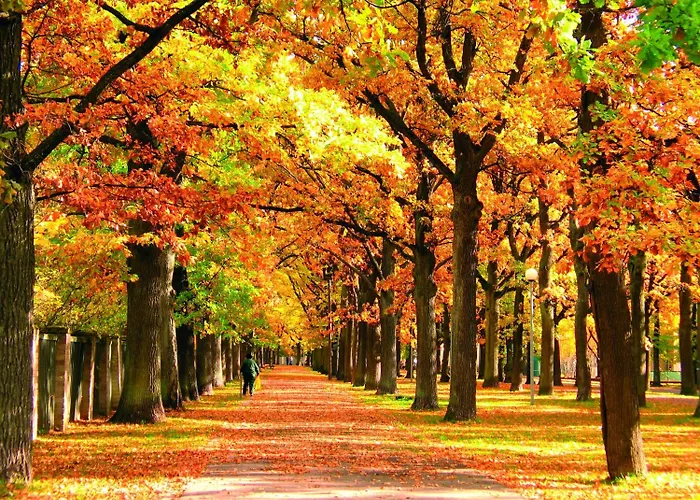 Hotel Koidulapark 2*